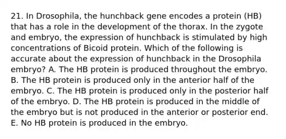 21. In Drosophila, the hunchback gene encodes a protein (HB) that has a role in the development of the thorax. In the zygote and embryo, the expression of hunchback is stimulated by high concentrations of Bicoid protein. Which of the following is accurate about the expression of hunchback in the Drosophila embryo? A. The HB protein is produced throughout the embryo. B. The HB protein is produced only in the anterior half of the embryo. C. The HB protein is produced only in the posterior half of the embryo. D. The HB protein is produced in the middle of the embryo but is not produced in the anterior or posterior end. E. No HB protein is produced in the embryo.