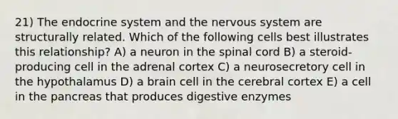 21) The endocrine system and the nervous system are structurally related. Which of the following cells best illustrates this relationship? A) a neuron in the spinal cord B) a steroid-producing cell in the adrenal cortex C) a neurosecretory cell in the hypothalamus D) a brain cell in the cerebral cortex E) a cell in the pancreas that produces digestive enzymes