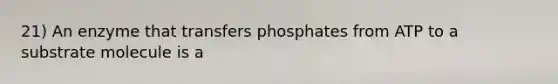 21) An enzyme that transfers phosphates from ATP to a substrate molecule is a