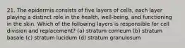 21. The epidermis consists of five layers of cells, each layer playing a distinct role in the health, well-being, and functioning in the skin. Which of the following layers is responsible for cell division and replacement? (a) stratum corneum (b) stratum basale (c) stratum lucidum (d) stratum granulosum