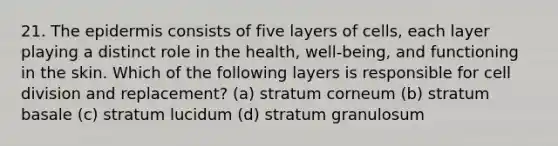 21. The epidermis consists of five layers of cells, each layer playing a distinct role in the health, well-being, and functioning in the skin. Which of the following layers is responsible for cell division and replacement? (a) stratum corneum (b) stratum basale (c) stratum lucidum (d) stratum granulosum