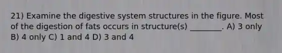 21) Examine the digestive system structures in the figure. Most of the digestion of fats occurs in structure(s) ________. A) 3 only B) 4 only C) 1 and 4 D) 3 and 4