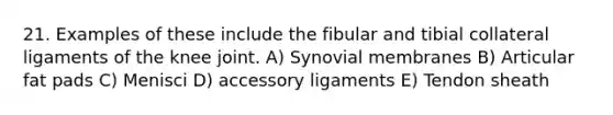 21. Examples of these include the fibular and tibial collateral ligaments of the knee joint. A) Synovial membranes B) Articular fat pads C) Menisci D) accessory ligaments E) Tendon sheath