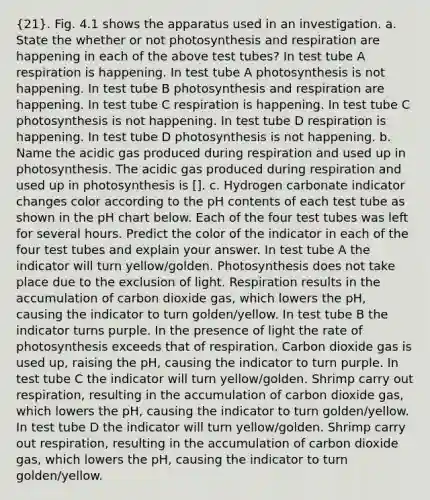 (21). Fig. 4.1 shows the apparatus used in an investigation. a. State the whether or not photosynthesis and respiration are happening in each of the above test tubes? In test tube A respiration is happening. In test tube A photosynthesis is not happening. In test tube B photosynthesis and respiration are happening. In test tube C respiration is happening. In test tube C photosynthesis is not happening. In test tube D respiration is happening. In test tube D photosynthesis is not happening. b. Name the acidic gas produced during respiration and used up in photosynthesis. The acidic gas produced during respiration and used up in photosynthesis is []. c. Hydrogen carbonate indicator changes color according to the pH contents of each test tube as shown in the pH chart below. Each of the four test tubes was left for several hours. Predict the color of the indicator in each of the four test tubes and explain your answer. In test tube A the indicator will turn yellow/golden. Photosynthesis does not take place due to the exclusion of light. Respiration results in the accumulation of carbon dioxide gas, which lowers the pH, causing the indicator to turn golden/yellow. In test tube B the indicator turns purple. In the presence of light the rate of photosynthesis exceeds that of respiration. Carbon dioxide gas is used up, raising the pH, causing the indicator to turn purple. In test tube C the indicator will turn yellow/golden. Shrimp carry out respiration, resulting in the accumulation of carbon dioxide gas, which lowers the pH, causing the indicator to turn golden/yellow. In test tube D the indicator will turn yellow/golden. Shrimp carry out respiration, resulting in the accumulation of carbon dioxide gas, which lowers the pH, causing the indicator to turn golden/yellow.