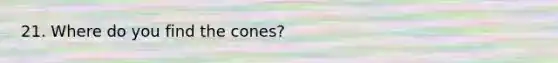 21. Where do you find the cones?