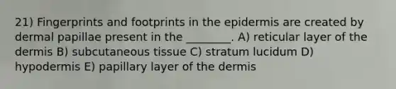 21) Fingerprints and footprints in the epidermis are created by dermal papillae present in the ________. A) reticular layer of the dermis B) subcutaneous tissue C) stratum lucidum D) hypodermis E) papillary layer of the dermis