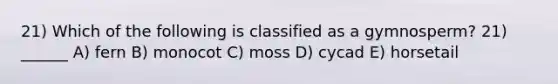 21) Which of the following is classified as a gymnosperm? 21) ______ A) fern B) monocot C) moss D) cycad E) horsetail