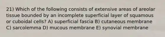 21) Which of the following consists of extensive areas of areolar tissue bounded by an incomplete superficial layer of squamous or cuboidal cells? A) superficial fascia B) cutaneous membrane C) sarcolemma D) mucous membrane E) synovial membrane