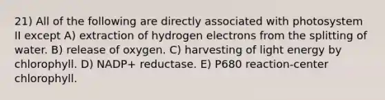 21) All of the following are directly associated with photosystem II except A) extraction of hydrogen electrons from the splitting of water. B) release of oxygen. C) harvesting of light energy by chlorophyll. D) NADP+ reductase. E) P680 reaction-center chlorophyll.