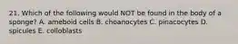 21. Which of the following would NOT be found in the body of a sponge? A. ameboid cells B. choanocytes C. pinacocytes D. spicules E. colloblasts