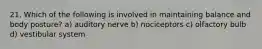 21. Which of the following is involved in maintaining balance and body posture? a) auditory nerve b) nociceptors c) olfactory bulb d) vestibular system