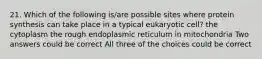 21. Which of the following is/are possible sites where protein synthesis can take place in a typical eukaryotic cell? the cytoplasm the rough endoplasmic reticulum in mitochondria Two answers could be correct All three of the choices could be correct