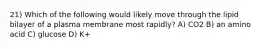 21) Which of the following would likely move through the lipid bilayer of a plasma membrane most rapidly? A) CO2 B) an amino acid C) glucose D) K+