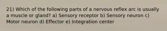 21) Which of the following parts of a nervous reflex arc is usually a muscle or gland? a) Sensory receptor b) Sensory neuron c) Motor neuron d) Effector e) Integration center