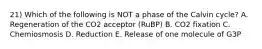 21) Which of the following is NOT a phase of the Calvin cycle? A. Regeneration of the CO2 acceptor (RuBP) B. CO2 fixation C. Chemiosmosis D. Reduction E. Release of one molecule of G3P