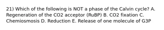 21) Which of the following is NOT a phase of the Calvin cycle? A. Regeneration of the CO2 acceptor (RuBP) B. CO2 fixation C. Chemiosmosis D. Reduction E. Release of one molecule of G3P