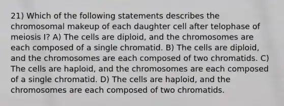 21) Which of the following statements describes the chromosomal makeup of each daughter cell after telophase of meiosis I? A) The cells are diploid, and the chromosomes are each composed of a single chromatid. B) The cells are diploid, and the chromosomes are each composed of two chromatids. C) The cells are haploid, and the chromosomes are each composed of a single chromatid. D) The cells are haploid, and the chromosomes are each composed of two chromatids.