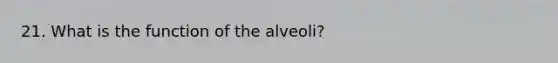 21. What is the function of the alveoli?