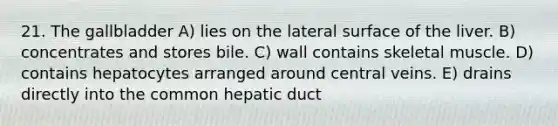 21. The gallbladder A) lies on the lateral surface of the liver. B) concentrates and stores bile. C) wall contains skeletal muscle. D) contains hepatocytes arranged around central veins. E) drains directly into the common hepatic duct