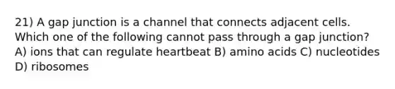 21) A gap junction is a channel that connects adjacent cells. Which one of the following cannot pass through a gap junction? A) ions that can regulate heartbeat B) amino acids C) nucleotides D) ribosomes