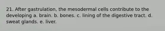 21. After gastrulation, the mesodermal cells contribute to the developing a. brain. b. bones. c. lining of the digestive tract. d. sweat glands. e. liver.