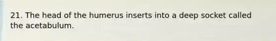21. The head of the humerus inserts into a deep socket called the acetabulum.