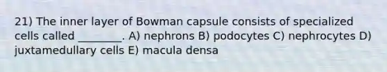 21) The inner layer of Bowman capsule consists of specialized cells called ________. A) nephrons B) podocytes C) nephrocytes D) juxtamedullary cells E) macula densa