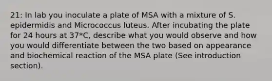 21: In lab you inoculate a plate of MSA with a mixture of S. epidermidis and Micrococcus luteus. After incubating the plate for 24 hours at 37*C, describe what you would observe and how you would differentiate between the two based on appearance and biochemical reaction of the MSA plate (See introduction section).