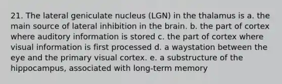 21. The lateral geniculate nucleus (LGN) in the thalamus is a. the main source of lateral inhibition in the brain. b. the part of cortex where auditory information is stored c. the part of cortex where visual information is first processed d. a waystation between the eye and the primary visual cortex. e. a substructure of the hippocampus, associated with long-term memory