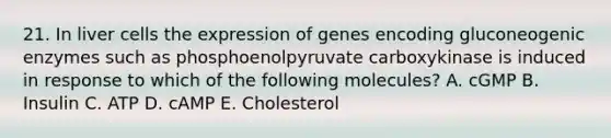 21. In liver cells the expression of genes encoding gluconeogenic enzymes such as phosphoenolpyruvate carboxykinase is induced in response to which of the following molecules? A. cGMP B. Insulin C. ATP D. cAMP E. Cholesterol