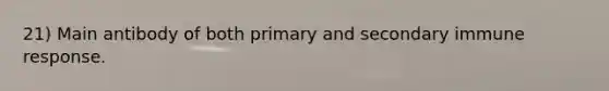 21) Main antibody of both primary and secondary immune response.