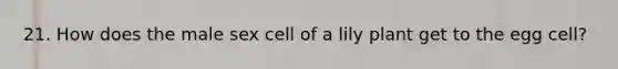 21. How does the male sex cell of a lily plant get to the egg cell?