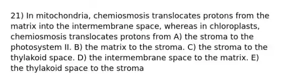 21) In mitochondria, chemiosmosis translocates protons from the matrix into the intermembrane space, whereas in chloroplasts, chemiosmosis translocates protons from A) the stroma to the photosystem II. B) the matrix to the stroma. C) the stroma to the thylakoid space. D) the intermembrane space to the matrix. E) the thylakoid space to the stroma