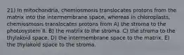 21) In mitochondria, chemiosmosis translocates protons from the matrix into the intermembrane space, whereas in chloroplasts, chemiosmosis translocates protons from A) the stroma to the photosystem II. B) the matrix to the stroma. C) the stroma to the thylakoid space. D) the intermembrane space to the matrix. E) the thylakoid space to the stroma.