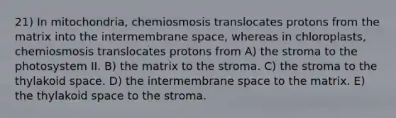 21) In mitochondria, chemiosmosis translocates protons from the matrix into the intermembrane space, whereas in chloroplasts, chemiosmosis translocates protons from A) the stroma to the photosystem II. B) the matrix to the stroma. C) the stroma to the thylakoid space. D) the intermembrane space to the matrix. E) the thylakoid space to the stroma.