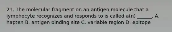 21. The molecular fragment on an antigen molecule that a lymphocyte recognizes and responds to is called a(n) ______. A. hapten B. antigen binding site C. variable region D. epitope