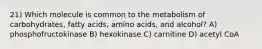 21) Which molecule is common to the metabolism of carbohydrates, fatty acids, amino acids, and alcohol? A) phosphofructokinase B) hexokinase C) carnitine D) acetyl CoA