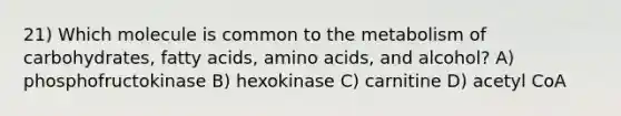 21) Which molecule is common to the metabolism of carbohydrates, fatty acids, amino acids, and alcohol? A) phosphofructokinase B) hexokinase C) carnitine D) acetyl CoA