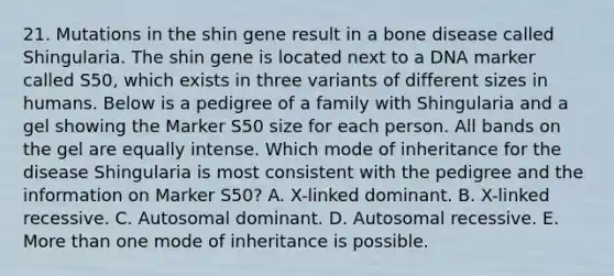 21. Mutations in the shin gene result in a bone disease called Shingularia. The shin gene is located next to a DNA marker called S50, which exists in three variants of different sizes in humans. Below is a pedigree of a family with Shingularia and a gel showing the Marker S50 size for each person. All bands on the gel are equally intense. Which mode of inheritance for the disease Shingularia is most consistent with the pedigree and the information on Marker S50? A. X-linked dominant. B. X-linked recessive. C. Autosomal dominant. D. Autosomal recessive. E. More than one mode of inheritance is possible.