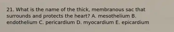 21. What is the name of the thick, membranous sac that surrounds and protects the heart? A. mesothelium B. endothelium C. pericardium D. myocardium E. epicardium