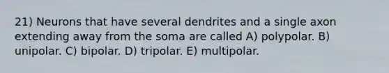 21) Neurons that have several dendrites and a single axon extending away from the soma are called A) polypolar. B) unipolar. C) bipolar. D) tripolar. E) multipolar.