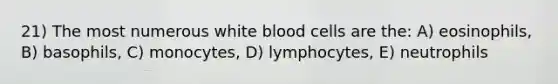 21) The most numerous white blood cells are the: A) eosinophils, B) basophils, C) monocytes, D) lymphocytes, E) neutrophils