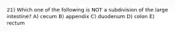 21) Which one of the following is NOT a subdivision of the large intestine? A) cecum B) appendix C) duodenum D) colon E) rectum