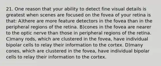 21. One reason that your ability to detect fine visual details is greatest when scenes are focused on the fovea of your retina is that: A)there are more feature detectors in the fovea than in the peripheral regions of the retina. B)cones in the fovea are nearer to the optic nerve than those in peripheral regions of the retina. C)many rods, which are clustered in the fovea, have individual bipolar cells to relay their information to the cortex. D)many cones, which are clustered in the fovea, have individual bipolar cells to relay their information to the cortex.