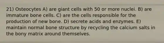 21) Osteocytes A) are giant cells with 50 or more nuclei. B) are immature bone cells. C) are the cells responsible for the production of new bone. D) secrete acids and enzymes. E) maintain normal bone structure by recycling the calcium salts in the bony matrix around themselves.