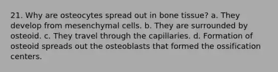 21. Why are osteocytes spread out in bone tissue? a. They develop from mesenchymal cells. b. They are surrounded by osteoid. c. They travel through the capillaries. d. Formation of osteoid spreads out the osteoblasts that formed the ossification centers.