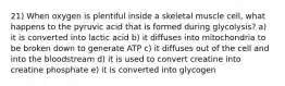 21) When oxygen is plentiful inside a skeletal muscle cell, what happens to the pyruvic acid that is formed during glycolysis? a) it is converted into lactic acid b) it diffuses into mitochondria to be broken down to generate ATP c) it diffuses out of the cell and into the bloodstream d) it is used to convert creatine into creatine phosphate e) it is converted into glycogen