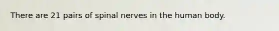 There are 21 pairs of spinal nerves in the human body.