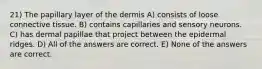 21) The papillary layer of the dermis A) consists of loose connective tissue. B) contains capillaries and sensory neurons. C) has dermal papillae that project between the epidermal ridges. D) All of the answers are correct. E) None of the answers are correct.