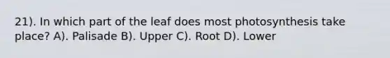 21). In which part of the leaf does most photosynthesis take place? A). Palisade B). Upper C). Root D). Lower